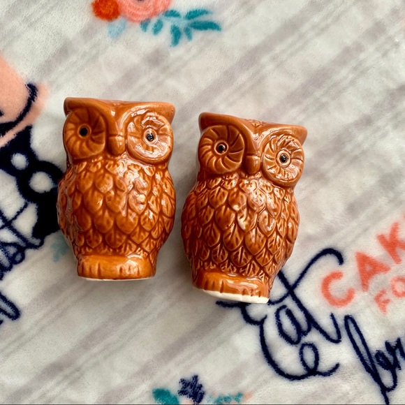 Other - 🦉Owl Salt & Pepper Shakers🦉